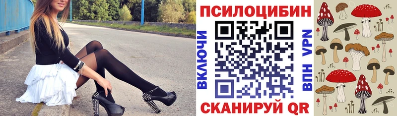 Псилоцибиновые грибы ЛСД  Купить где  Кимры 